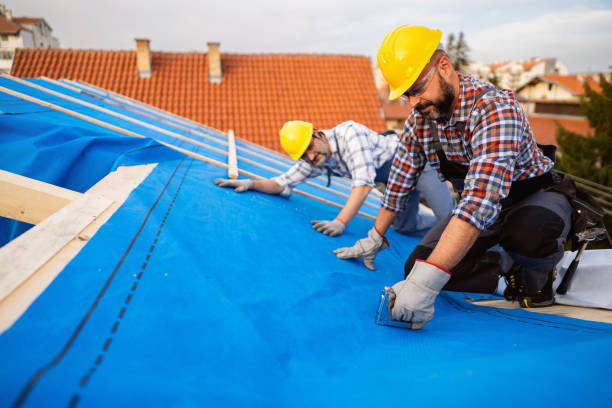 Best Flat Roof Repair Services  in Norris, TN