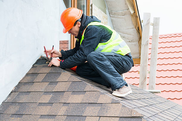 Best Metal Roofing Contractor  in Norris, TN